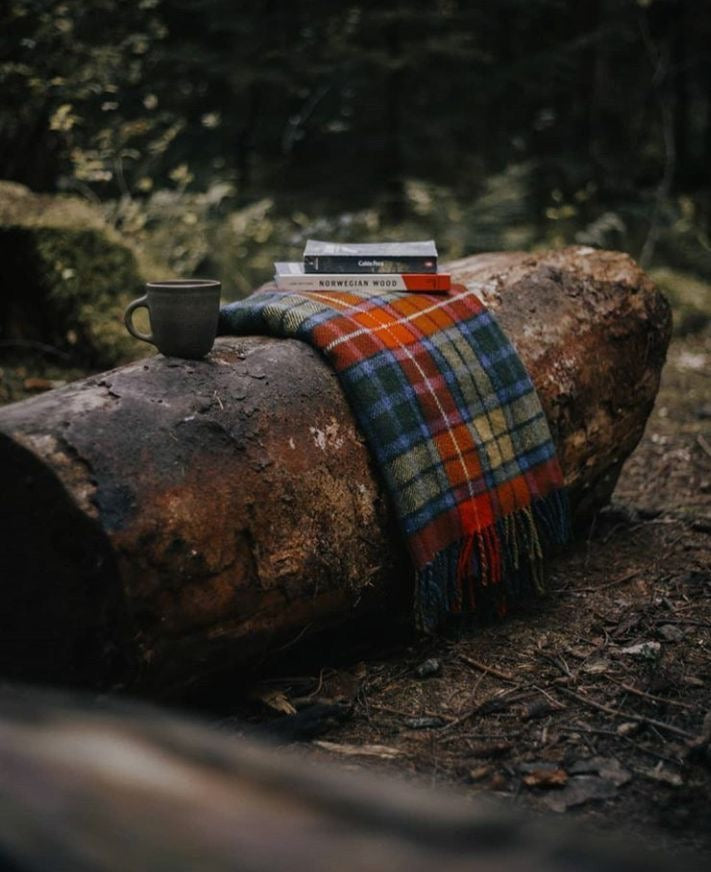INTO THE WOODS