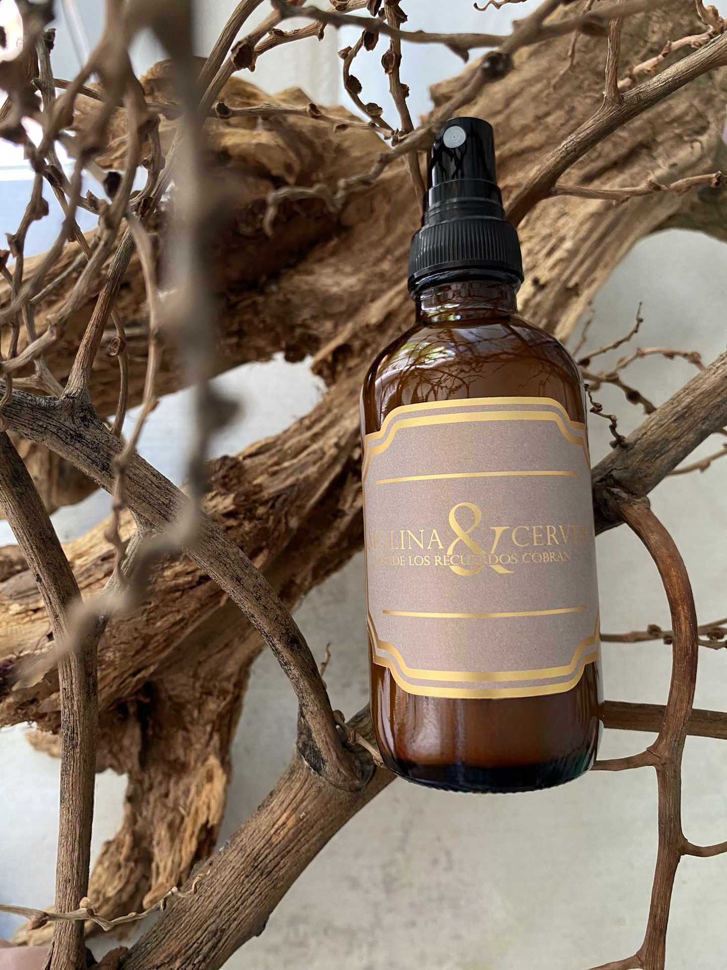 HOME SPRAY- LOS MOLINA