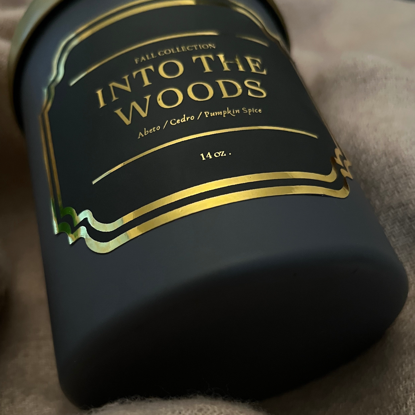 INTO THE WOODS